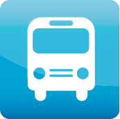 Bus Services