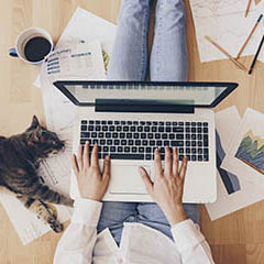 Person working from home with their cat.